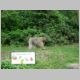 033 Montagne des Singes.jpg